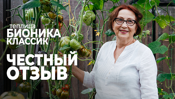 БИОНИКА с высокими боковыми стенками